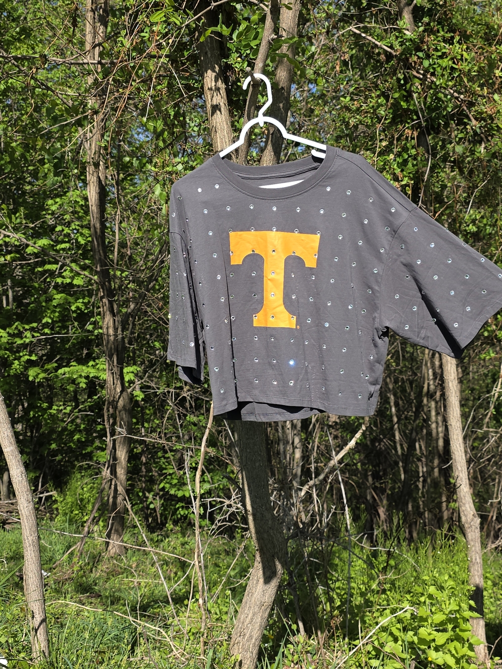 Tennesse Rhinestone Crop Top Size XXL